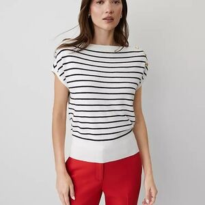 Ann Taylor Navy & White Striped Boatneck Sweater
